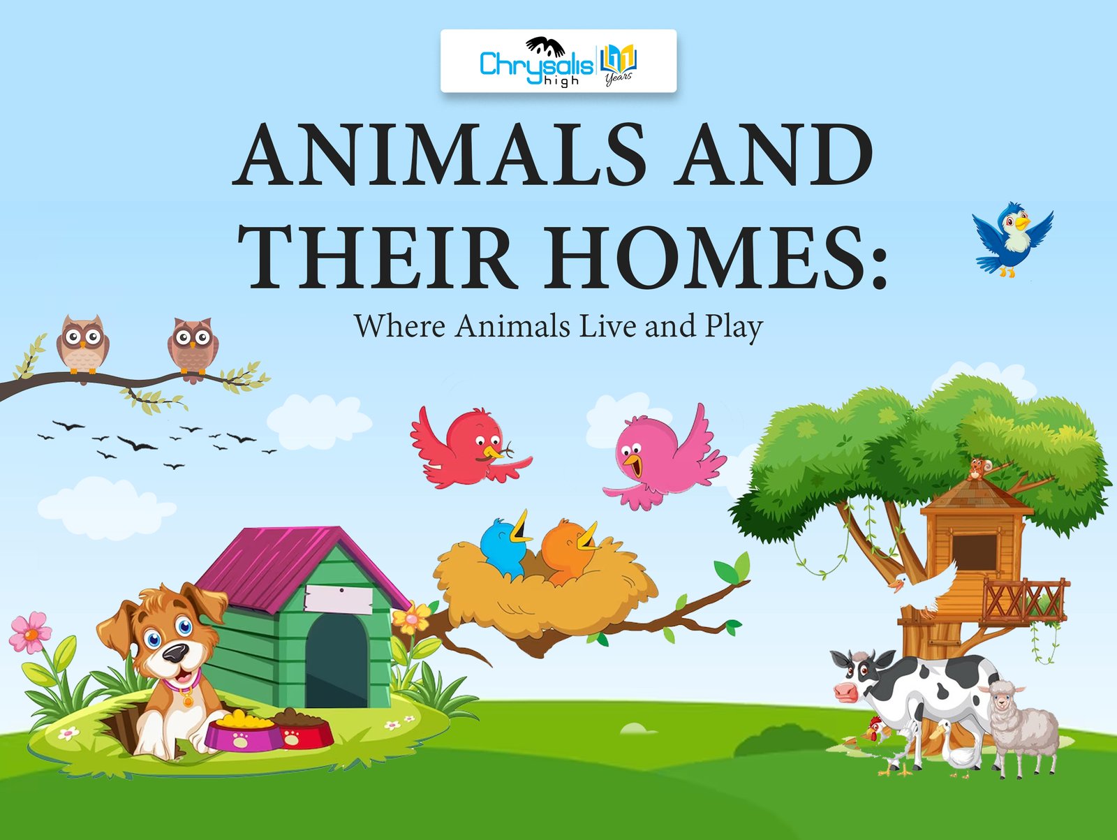animals and homes