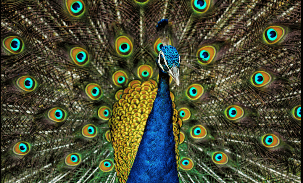 Screenshot 2024 03 25 180145 1024x618 1