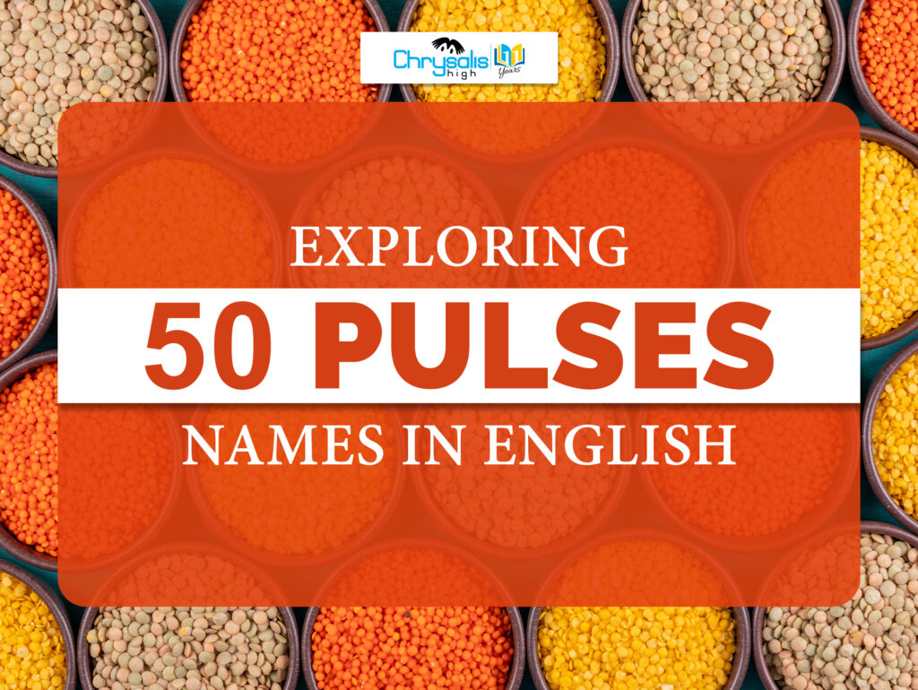 Exploring 50 Pulses Names In English Exploring 50 Pulses Names In English
