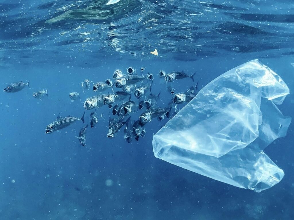 Image of fishes inside ocean afraid seeing plastic 