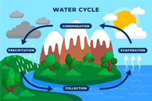 water cycle illustration
