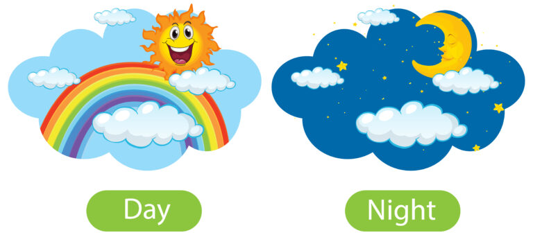 Opposite words with day and night